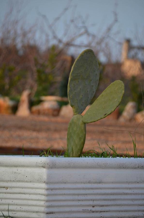 Masseria Poli Country House Bed & Breakfast Conversano Exterior photo